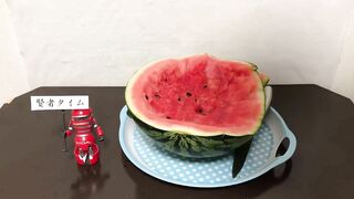 【閲覧注意】スイカとセックスしてみた! I had Sex with a Watermelon. 【無修正】