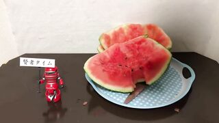 【閲覧注意】スイカとセックスしてみた! I had Sex with a Watermelon. 【無修正】