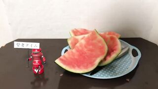 【閲覧注意】スイカとセックスしてみた! I had Sex with a Watermelon. 【無修正】