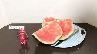 【閲覧注意】スイカとセックスしてみた! I had Sex with a Watermelon. 【無修正】