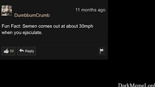 Funny Pornhub Comments Part 3