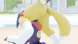 Renamon And The STOPwatch