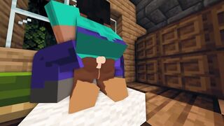 SexCraft Minecraft Mode Game Review With Commentary My Voice 5