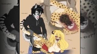 Furry Compilation - Mihari