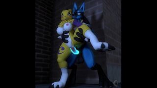 lucario x renamon