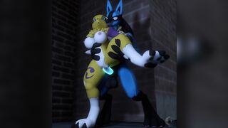 lucario x renamon