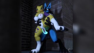 lucario x renamon