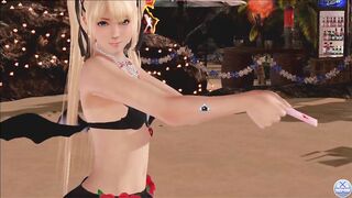 Dead or Alive Xtreme Venus Vacation Marie Rose Valentine's Day Pose Cards Fanservice Appreciation