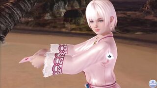 Dead or Alive Xtreme Venus Vacation Luna Valentine's Day Pose Cards Fanservice Appreciation