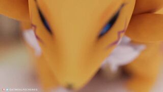 Sexy big ass Renamon pleasing you POV