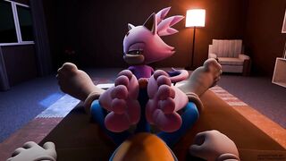 Blaze x Sonic Wet Footjob Cum on Feet Hentai Animation