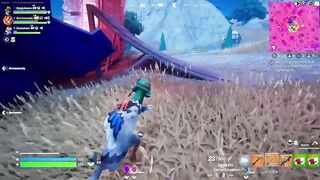 Fortnite: A unexpected win