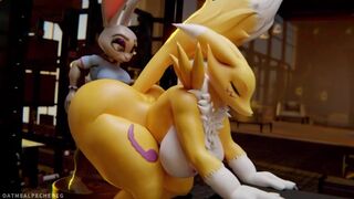 Judy Hopps and Renamon is working out